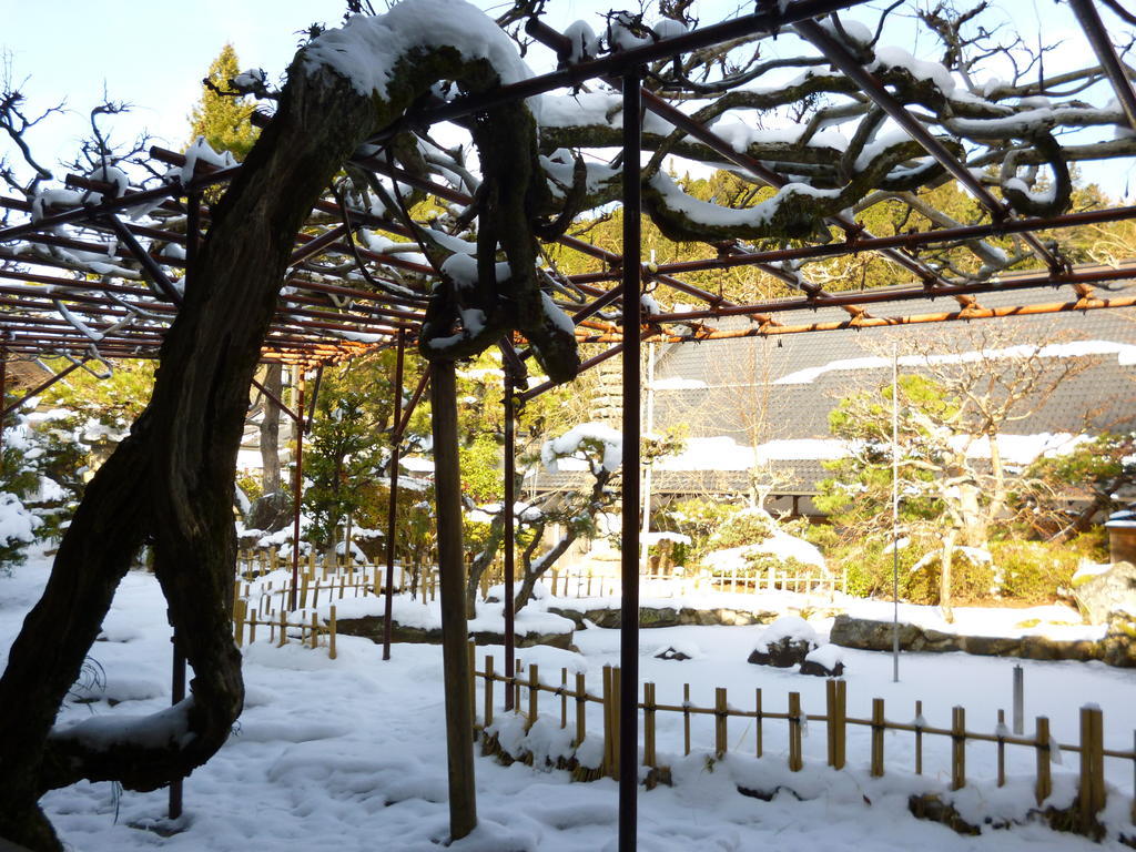 高野山 宿坊 熊谷寺 -Koyasan Shukubo Kumagaiji- Wakayama Ngoại thất bức ảnh